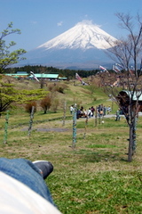 富士山こどもの国