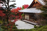 金福寺の紅葉　ふらり京都へ