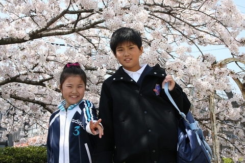 入学式と花見でお弁当