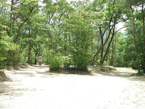 小さな森キャンプ村
