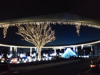 BABY BABY 2012/12/21 11:02:00
