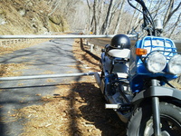 日向山 [山梨県] 2013/03/28 11:02:00