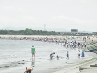 梅雨の合い間の潮干狩り+。。。 2012/06/29 00:40:27