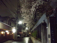赤坂の夜桜 2008/03/29 17:56:29