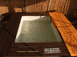 夢古道の湯　