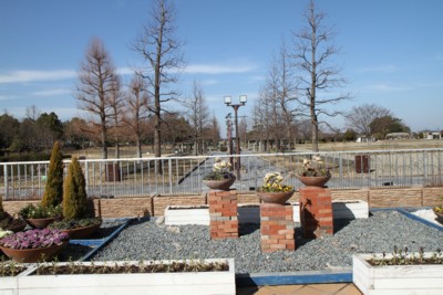安八百梅園　4