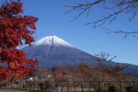 富士山周辺