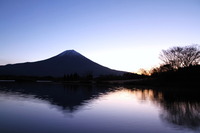 富士の夜景