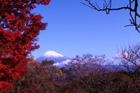 富士の夜景