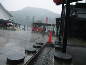 世界遺産　白神山地　2