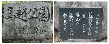 世界遺産　熊野古道　3