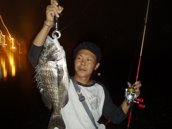 紀南でボンボン・・・・・・・・・