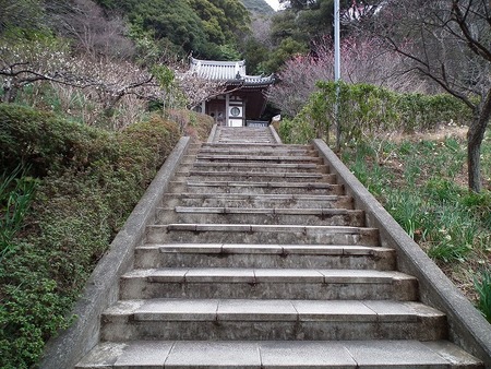 鋸山ハイキング