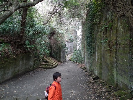 鋸山ハイキング