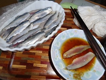 名古屋近郊の釣り チェリー号 サッパ 15 匹 を捌きます