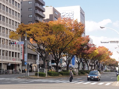名古屋市内の紅葉