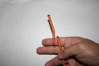 巻き結び