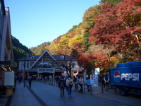 高尾山～影信山　紅葉トレッキング