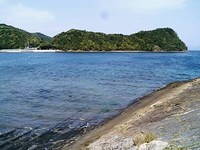 エギングに行ったのに・・・・。