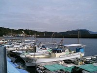 釣りクラブAFC～ロックフィッシュ大会編２