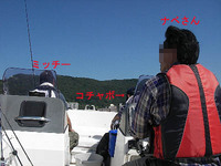 下田湾ワカシいじめ？
