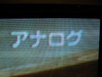 縛られている