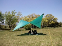 (´･ω･`)ｼｮﾎﾞｰﾝ 2013/05/02 13:54:58