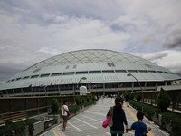野球観戦デビュー