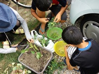 枝豆♪ 2013/07/18 10:31:00