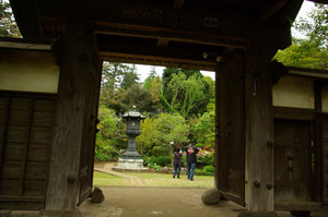 ■ぼたん寺