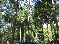 激闘！ナメクジクローン？と山登り