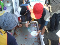 甲斐市わくわくフェスタ２００７