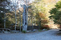 色づく紅葉に導かれて・・・