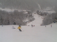 粉雪にまみれて・・・