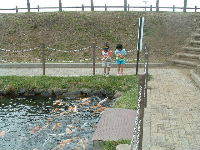 お魚に御飯をあげる公園に行きたーーい！