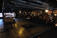 ADVENTURE TOUR (アトラクション3)