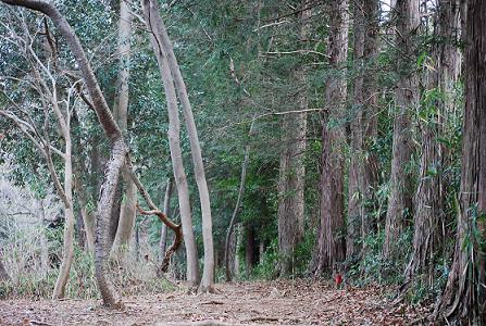 ☆北山公園キャンプ場☆その②