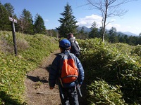 縞枯山と高見石・白駒池（紅葉を見に行コウヨウ2013）その2