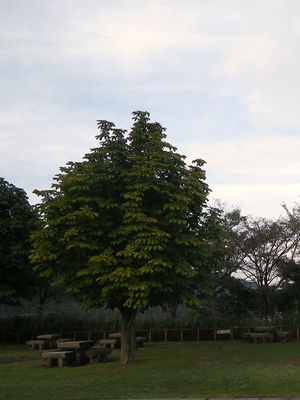 宮ヶ瀬湖畔園地