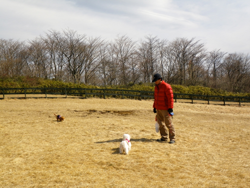 キャンピカ富士ぐりんぱ