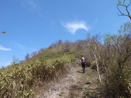 もっさり下十枚山