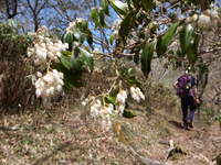 もっさり下十枚山 2011/05/18 22:29:49