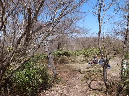 もっさり下十枚山