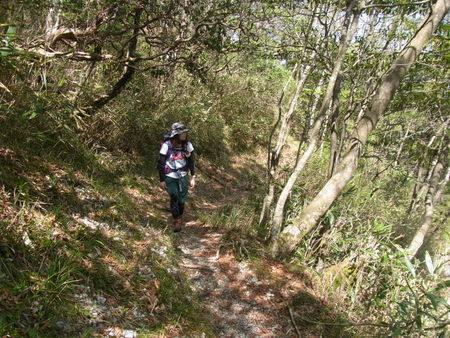 もっさり下十枚山
