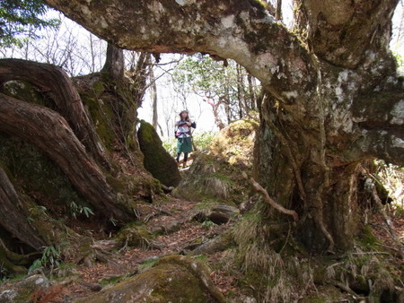 もっさり下十枚山