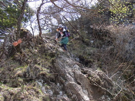 もっさり下十枚山