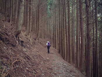大光山②