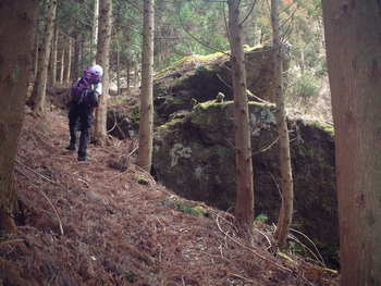 大光山②