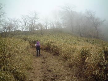 大光山②