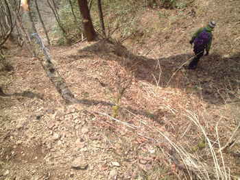 大光山②